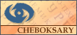 The S.N.Fyodorov Eye Microsurgery State Institution